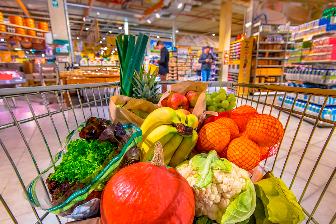 alimentos sanos